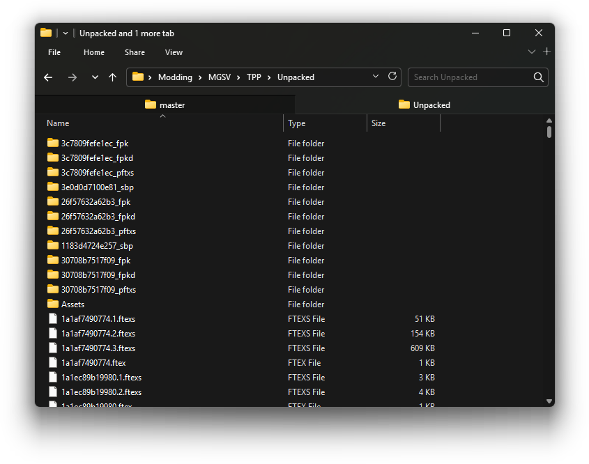 Unpacked game files